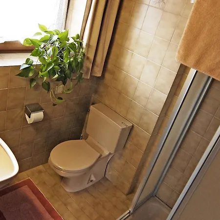 Apartment Alpenrose Ramsau im Zillertal