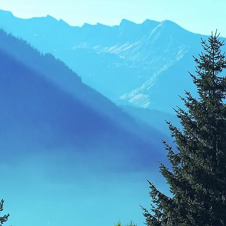 Alpenrose 齐勒河谷的拉姆绍
